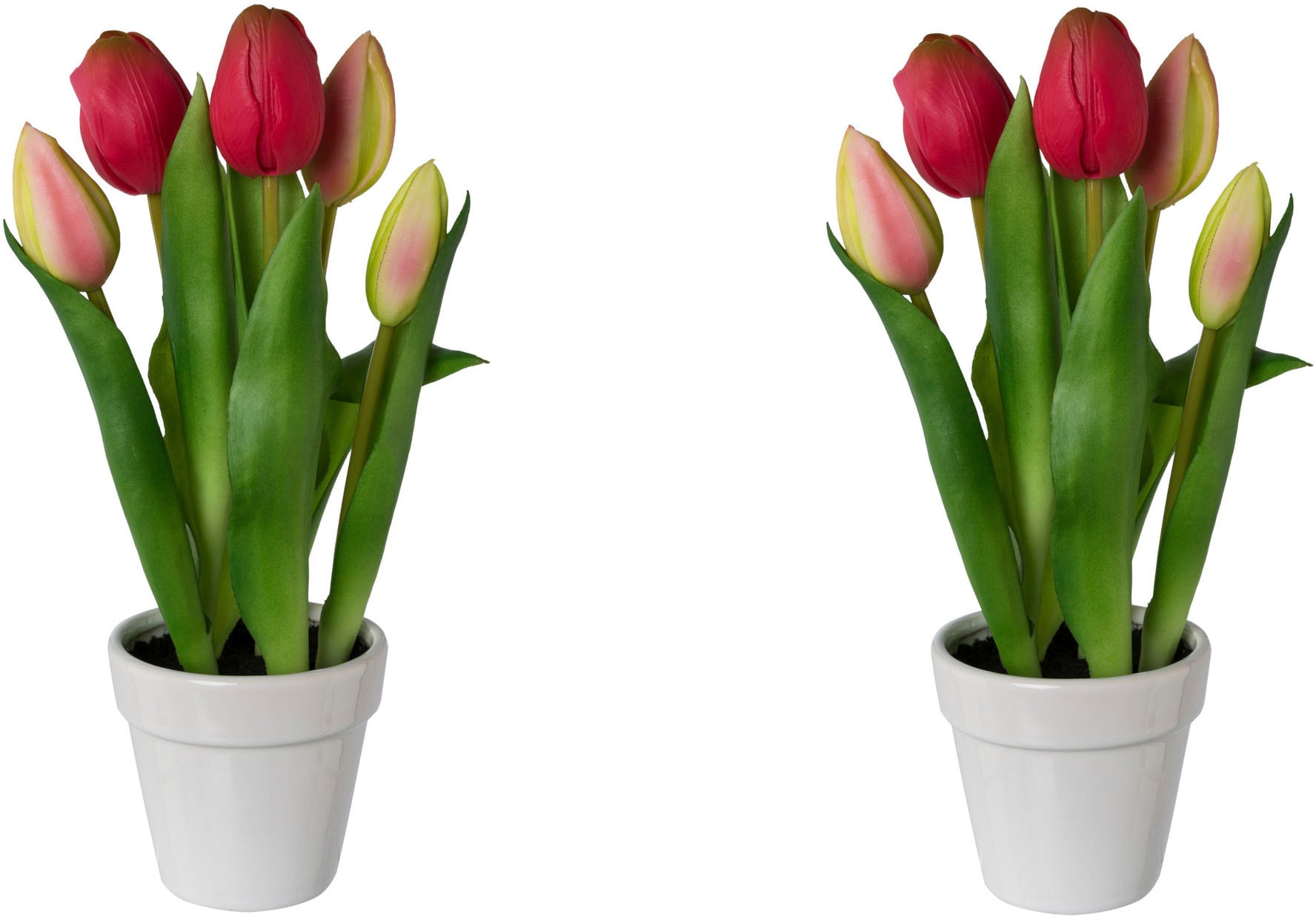 my home Kunsttulpe »Tulpen im Topf« von My Home