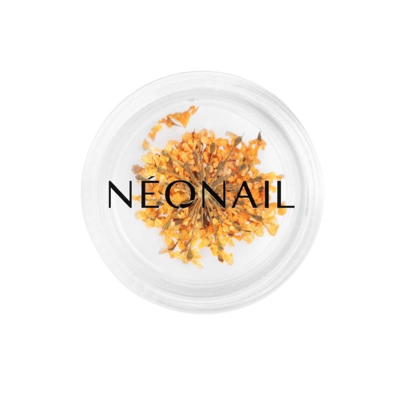 NEONAIL  NEONAIL The Muse in You uv_nagellack 2.0 g von NEONAIL