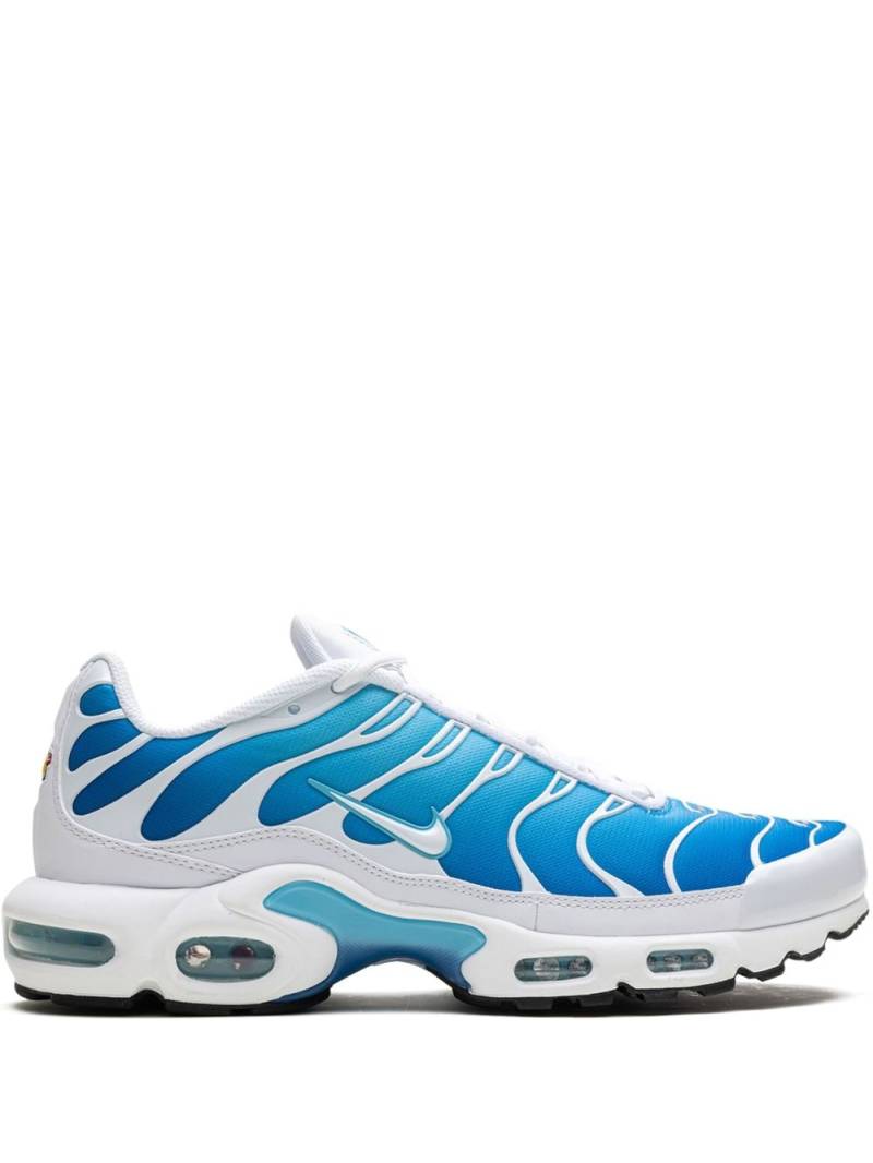 Nike Air Max Plus "Blue Gaze" sneakers von Nike