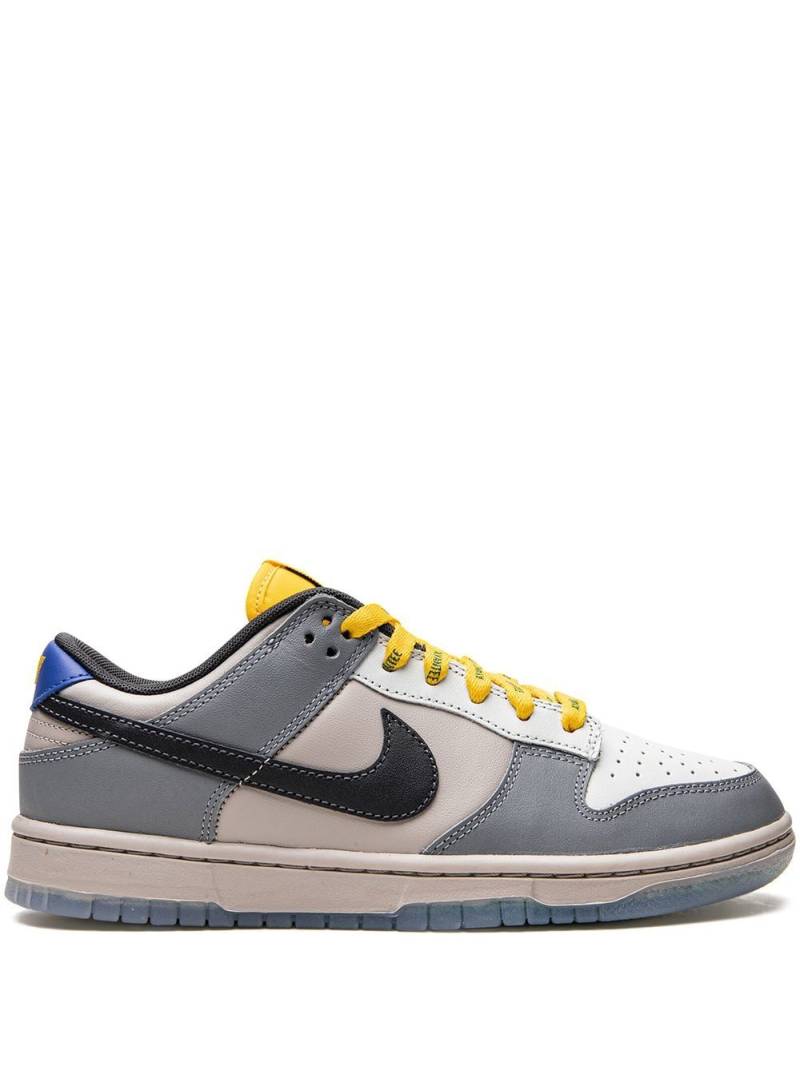 Nike Dunk Low "North Carolina A&T" sneakers - Grey von Nike