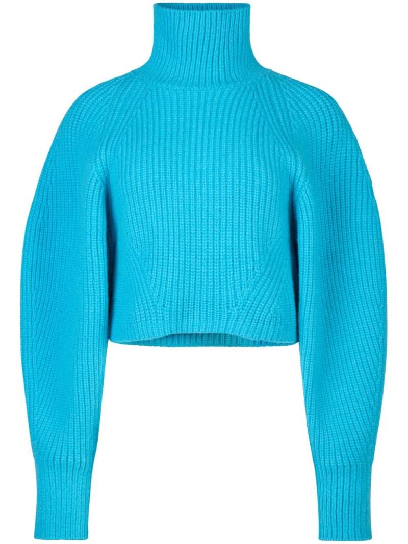 Nina Ricci turtleneck chunky-ribbed jumper - Blue von Nina Ricci