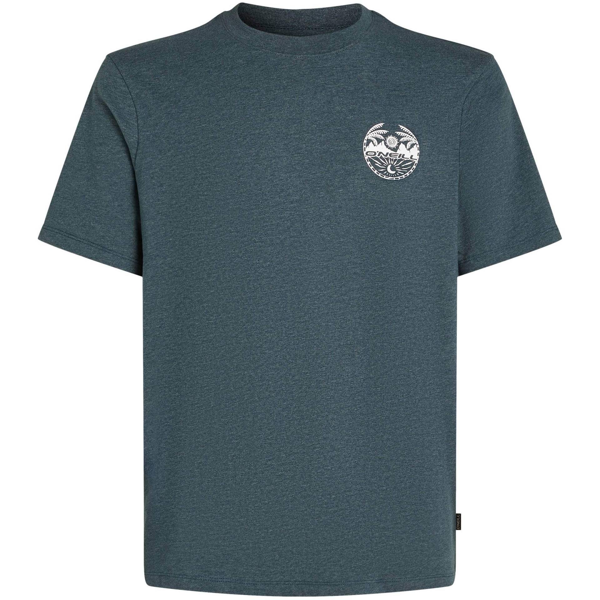 O'NEILL BACK PRINT T-Shirt Herren O'NEILL BACK PRINT T-Shirt Herren von O'Neill