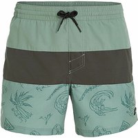 O'NEILL Herren Badeshort Cali Block 15'' hellgrün | XXL von O'Neill