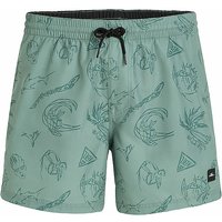 O'NEILL Herren Badeshort Cali Print 15'' hellgrün | M von O'Neill