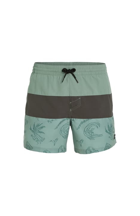 O'Neill MIX & Match Cali Block 15'' Swim Shorts Badeshorts grün von O'Neill