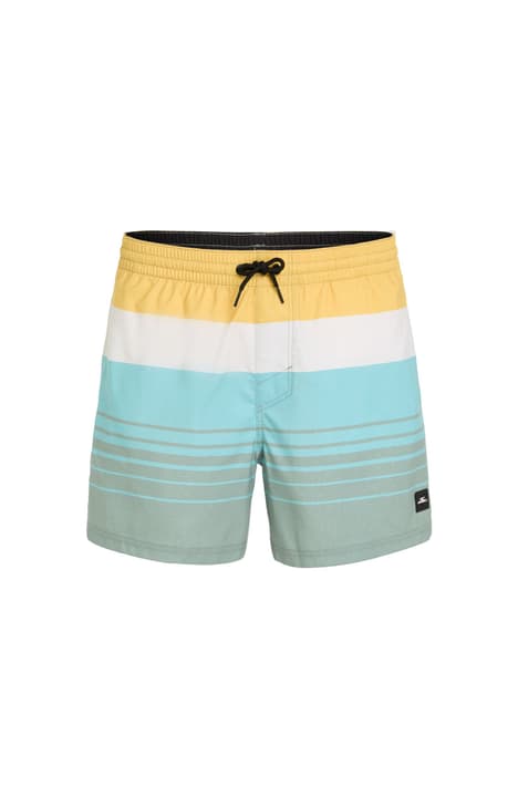O'Neill MIX & Match Cali Print 15'' Swim Shorts Badeshorts mehrfarbig von O'Neill