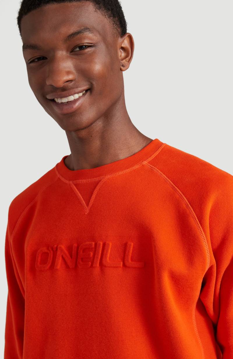 O'Neill Sweatshirt »"Logo"« von O'Neill