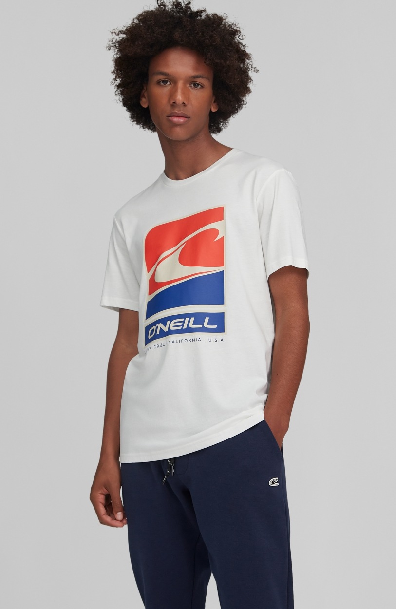 O'Neill T-Shirt »Flag Wave Ss T-Shirt« O'Neill T-Shirt »Flag Wave Ss T-Shirt« von O'Neill