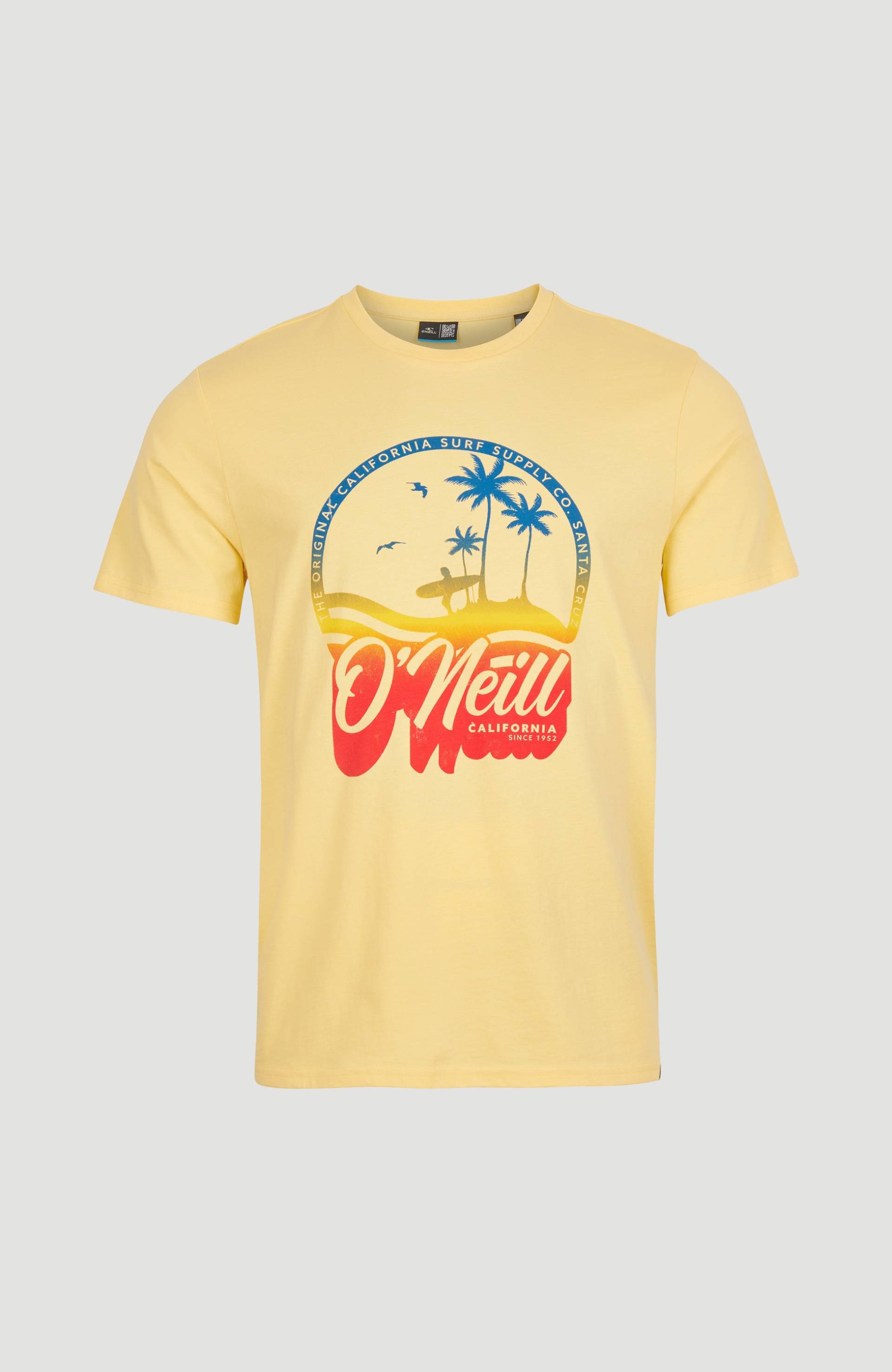 O'Neill T-Shirt »"GRADIENT VINTAGE"« von O'Neill