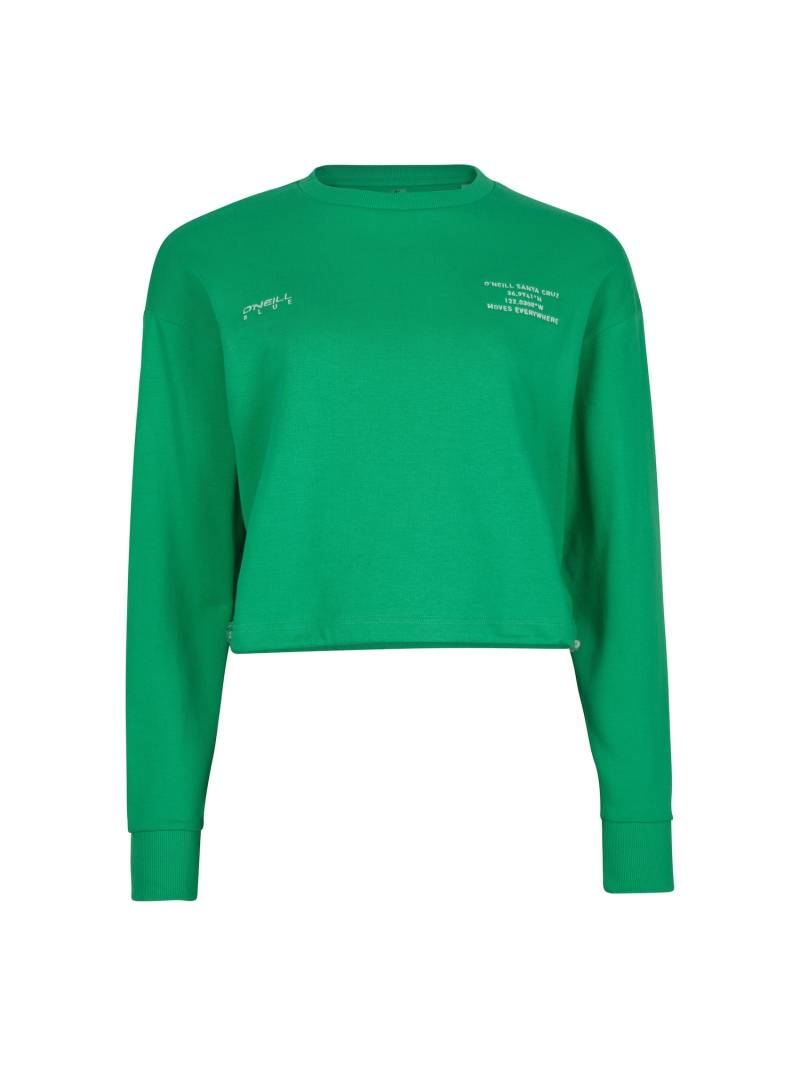 Sweatshirt 'Future Sports' von O'Neill