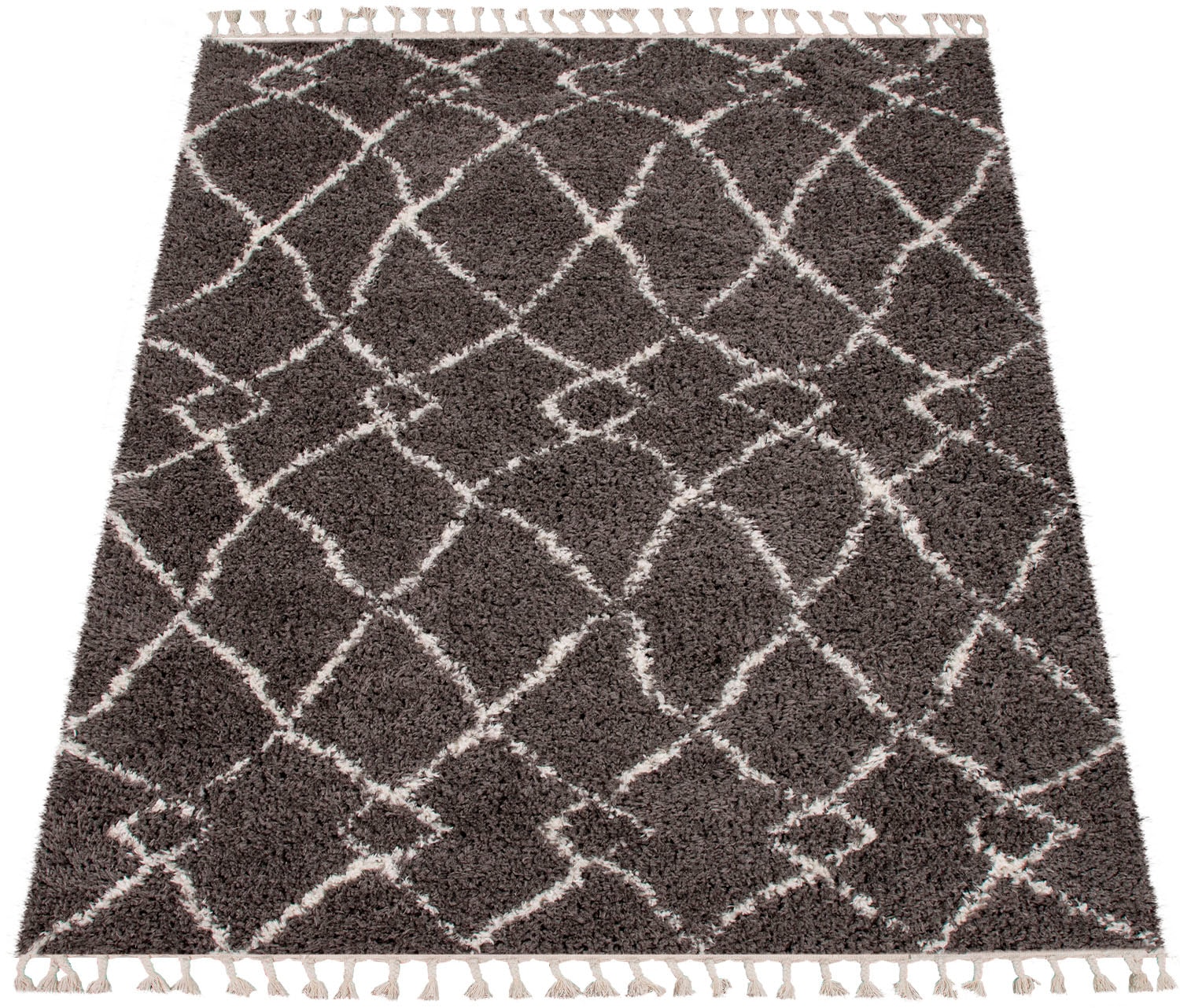 Paco Home Hochflor-Teppich »Orebro 170«, rechteckig von PACO HOME