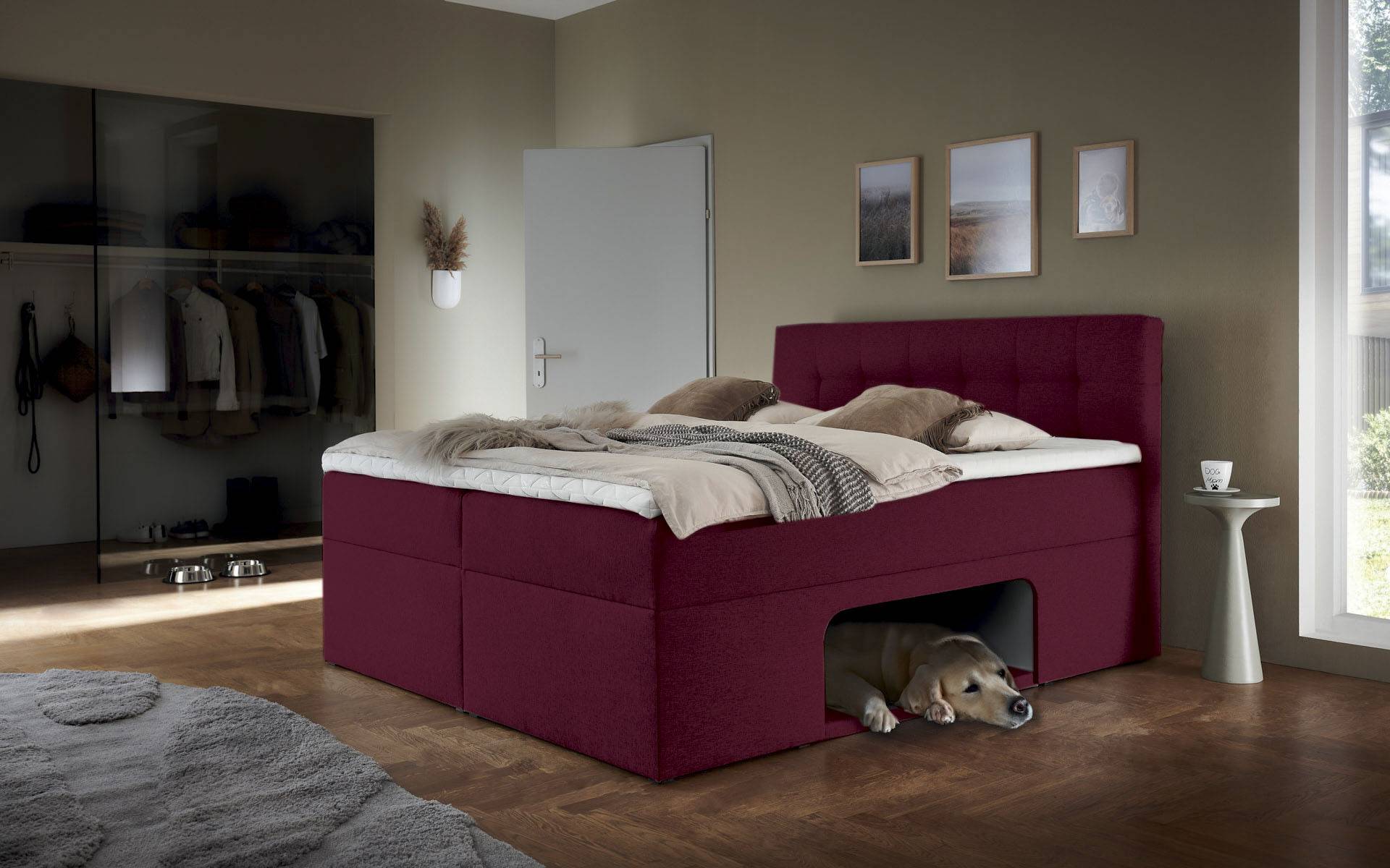 Places of Style Boxbett »Carolin«, mit Nische inkl. gepolsterter Unterlage für Haustiere von PLACES OF STYLE
