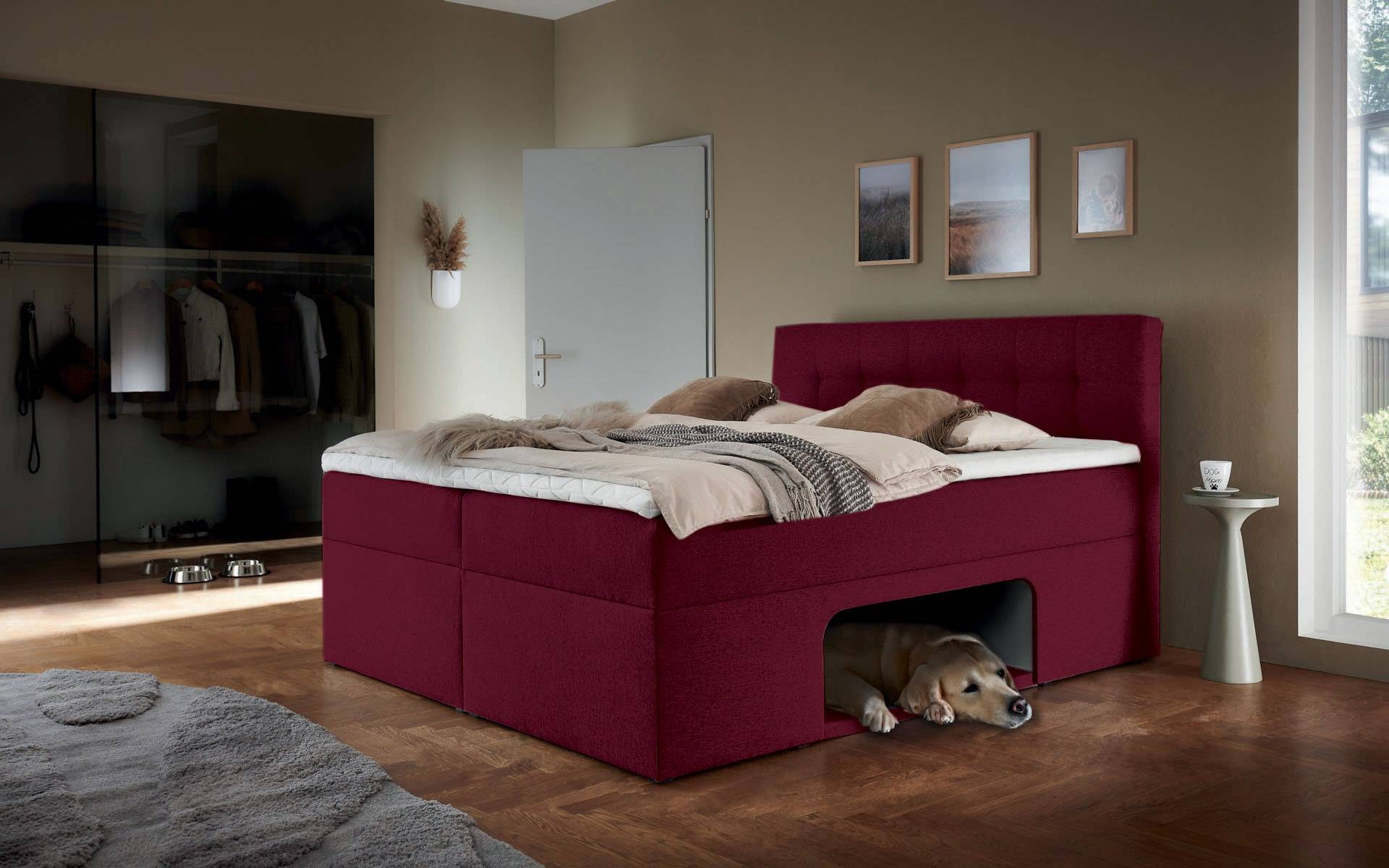 Places of Style Boxbett »Carolin«, mit Nische inkl. gepolsterter Unterlage für Haustiere von PLACES OF STYLE