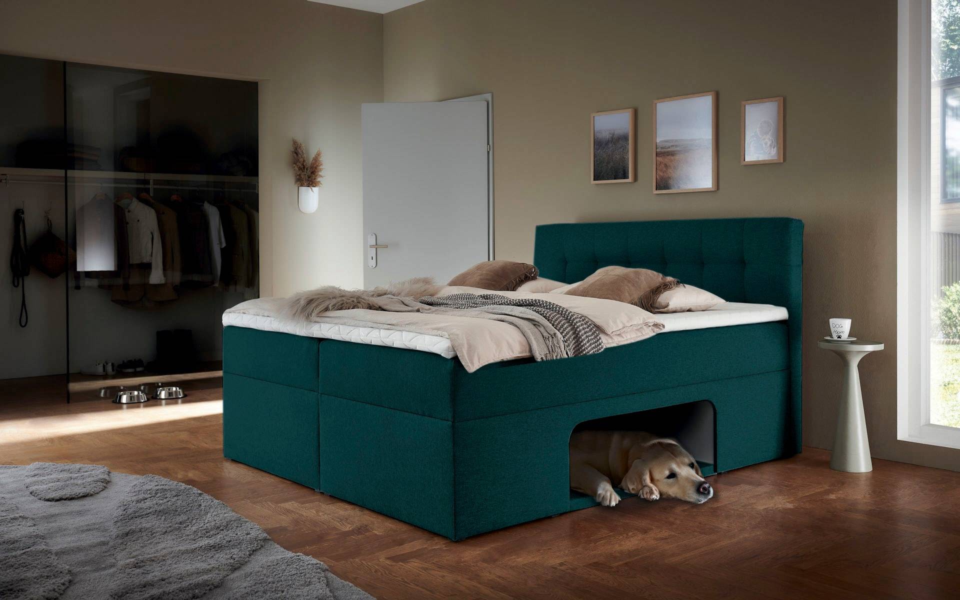 Places of Style Boxbett »Carolin«, mit Nische inkl. gepolsterter Unterlage für Haustiere von PLACES OF STYLE