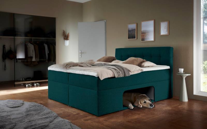Places of Style Boxbett »Carolin«, mit Nische inkl. gepolsterter Unterlage für Haustiere von PLACES OF STYLE
