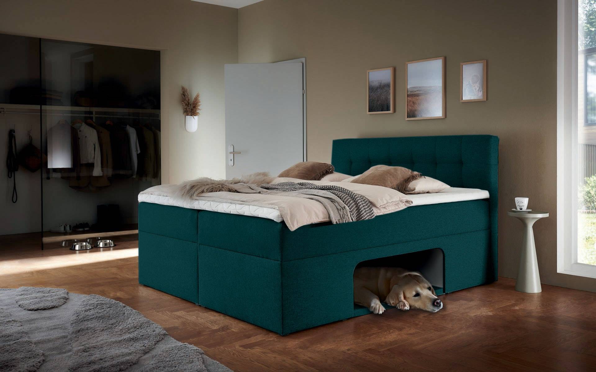Places of Style Boxbett »Carolin«, mit Nische inkl. gepolsterter Unterlage für Haustiere von PLACES OF STYLE