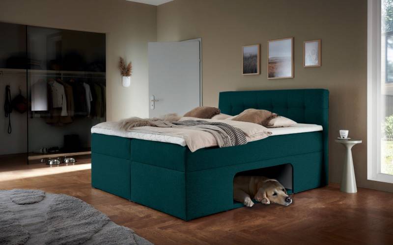 Places of Style Boxbett »Carolin«, mit Nische inkl. gepolsterter Unterlage für Haustiere von PLACES OF STYLE