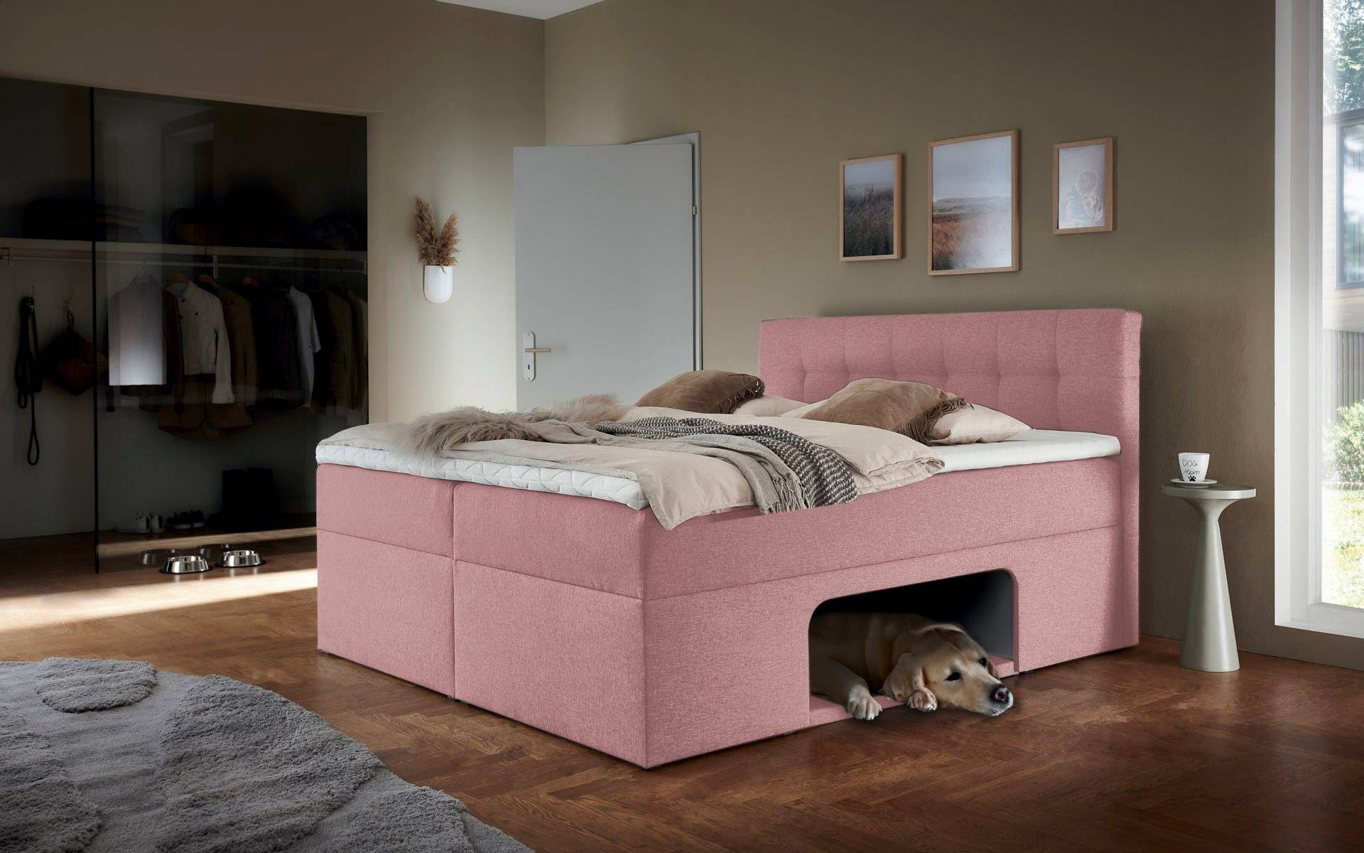 Places of Style Boxbett »Carolin«, mit Nische inkl. gepolsterter Unterlage für Haustiere von PLACES OF STYLE