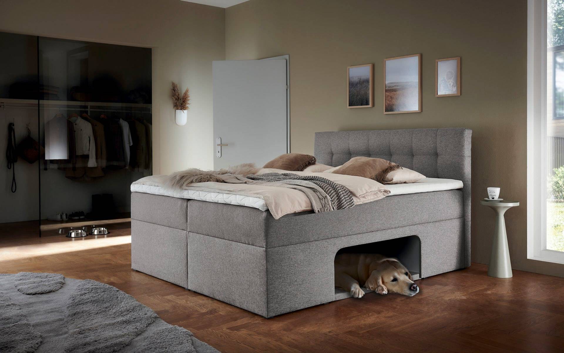 Places of Style Boxbett »Carolin«, mit Nische inkl. gepolsterter Unterlage für Haustiere von PLACES OF STYLE