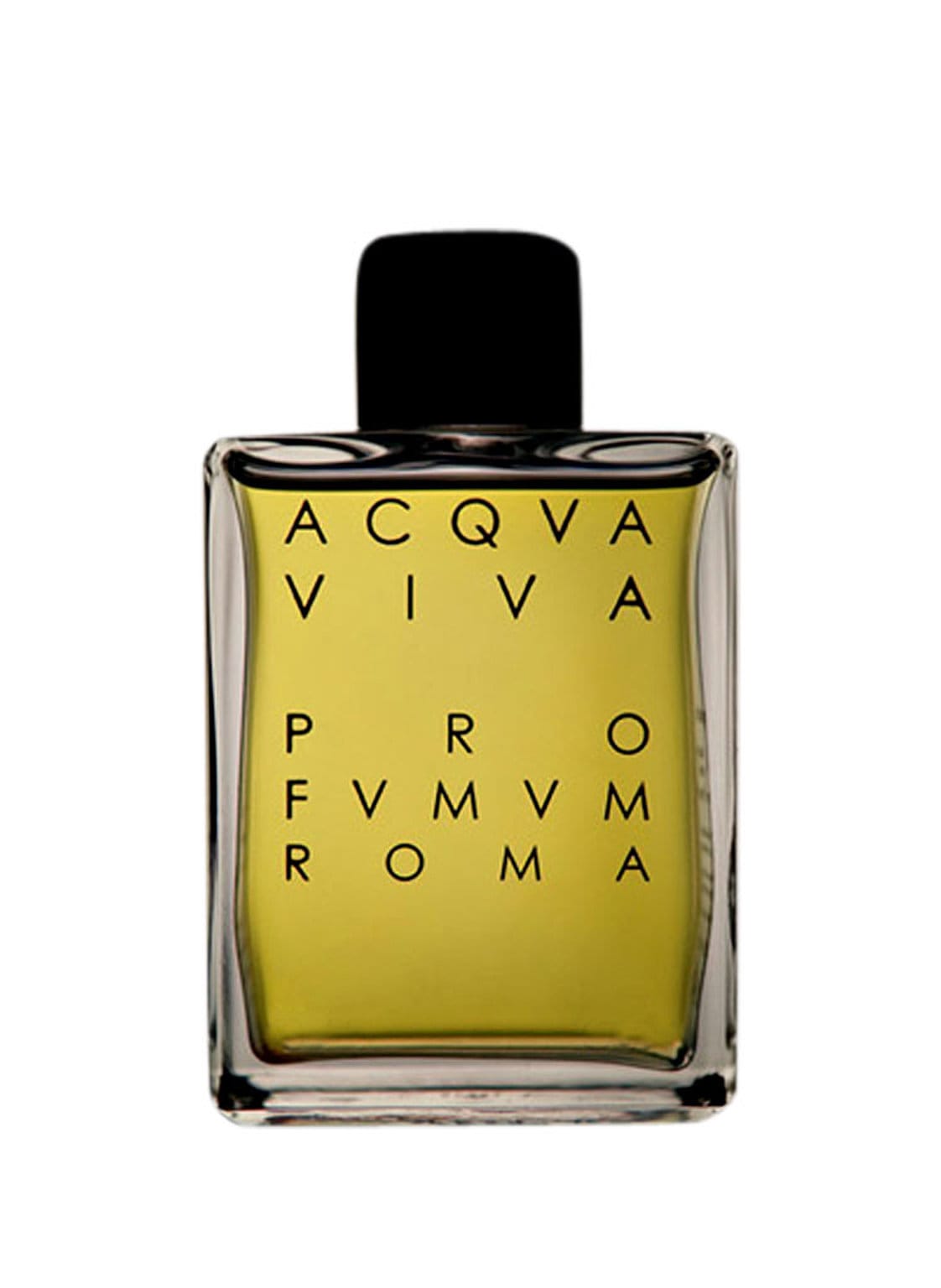 Pro Fvmvm Roma Acqva Viva Eau de Parfum 100 ml Pro Fvmvm Roma Acqva Viva Eau de Parfum 100 ml von PRO FVMVM ROMA