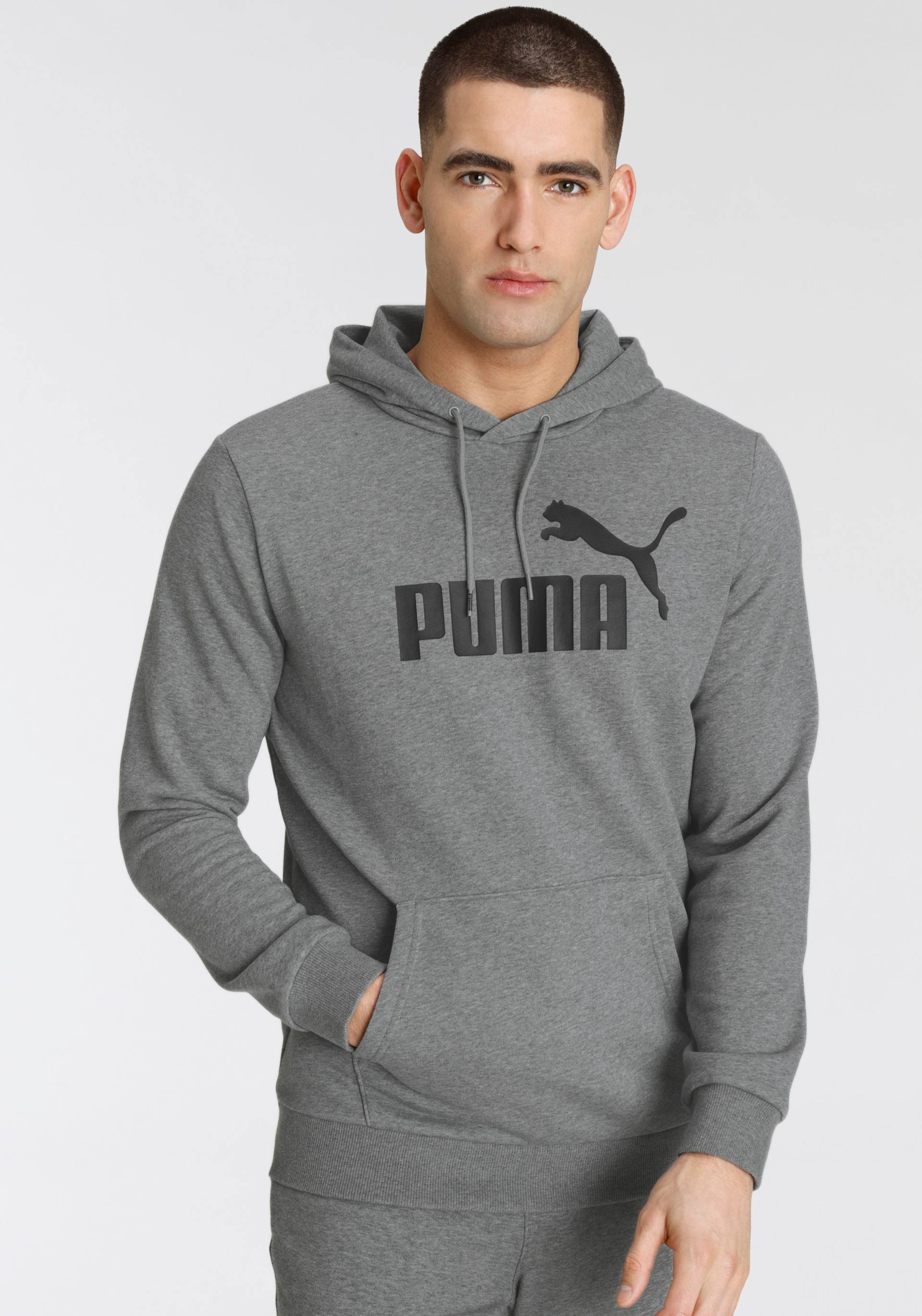 PUMA Kapuzensweatshirt »ESS BIG LOGO HOODIE TR« von PUMA