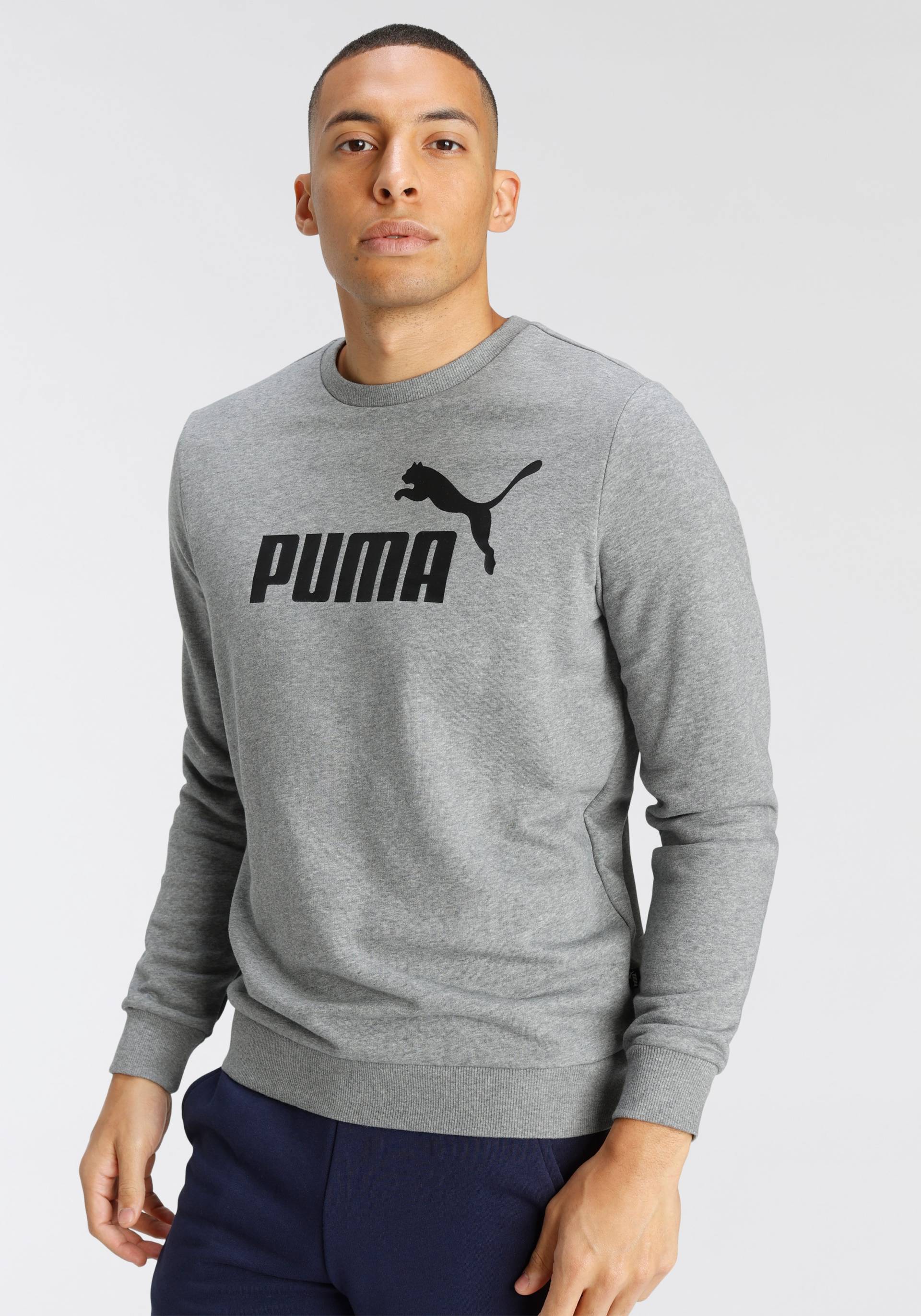 PUMA Langarmshirt »ESS BIG LOGO CREW TR« von PUMA