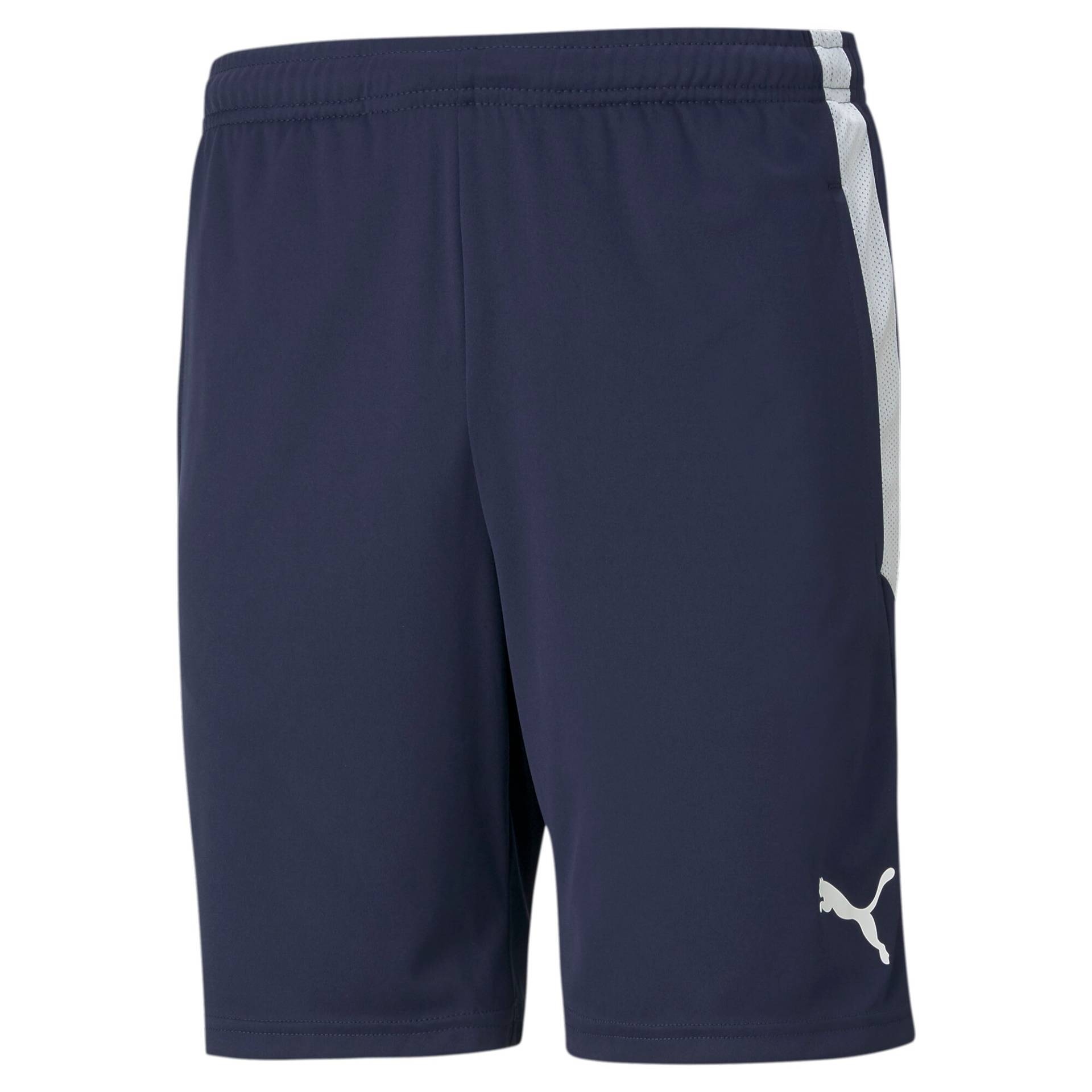 PUMA Trainingsshorts »TEAMLIGA TRAINING SHORTS« von PUMA