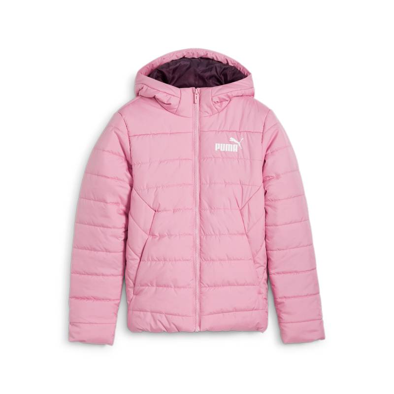 PUMA Winterjacke »ESS HOODED PADDED JACKET«, mit Kapuze von PUMA
