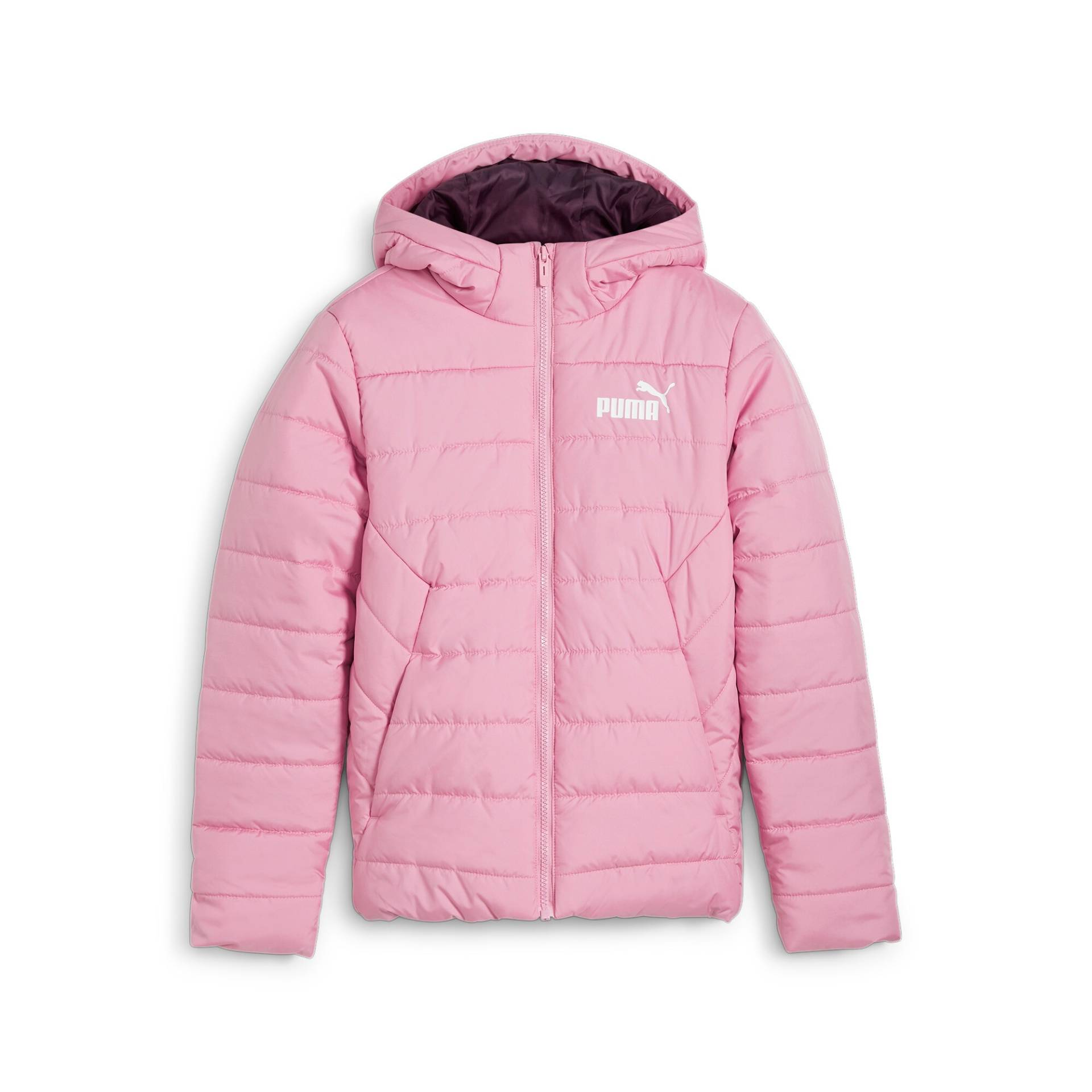 PUMA Winterjacke »ESS HOODED PADDED JACKET«, mit Kapuze von PUMA