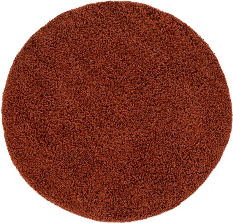 Paco Home Hochflor-Teppich »Sky 250«, rund, 34 mm Höhe, gewebt, Uni Farben, intensive Farbbrillanz von PACO HOME