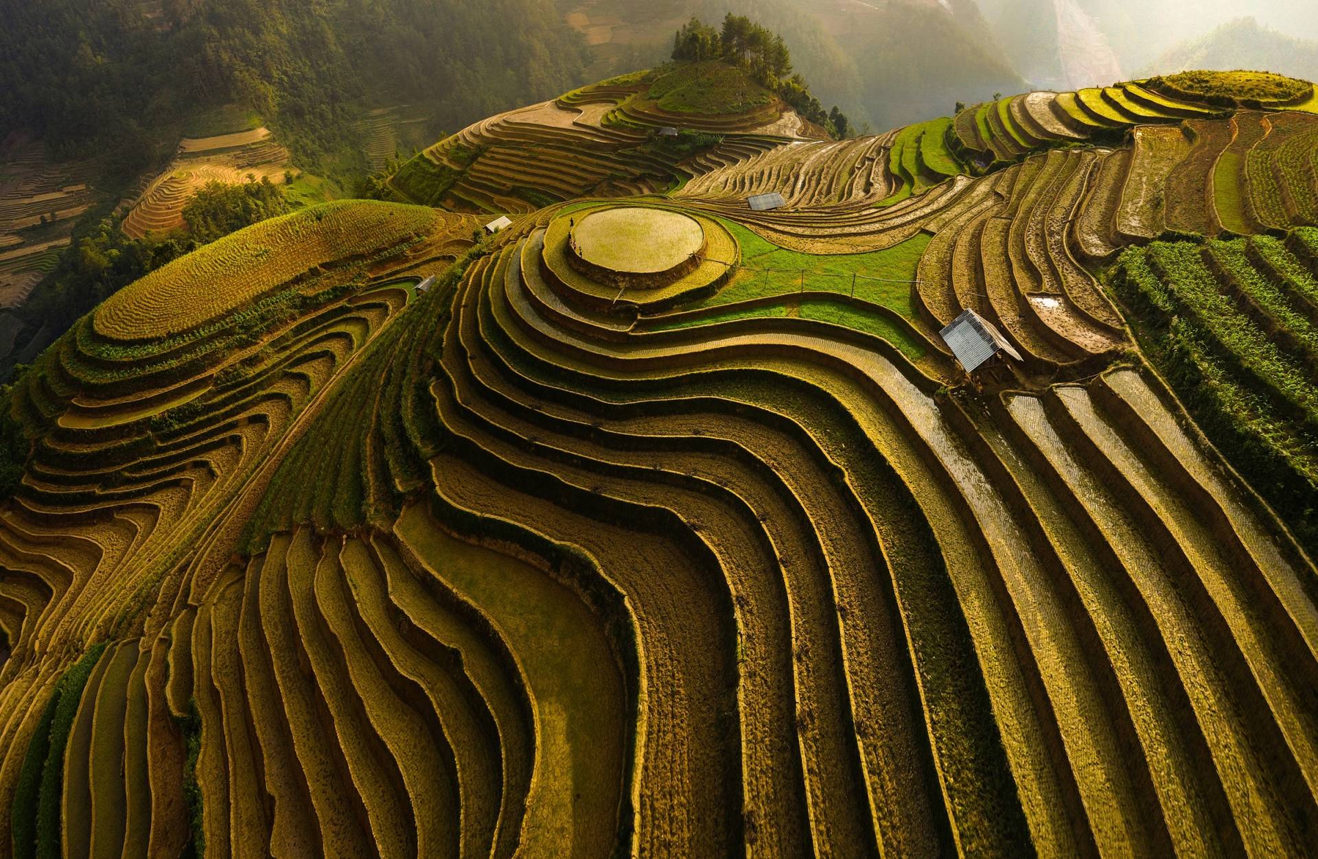 Papermoon Fototapete »ĐAO TẤN PHAT, MU CANG CHAI - VIETNAM« von Papermoon