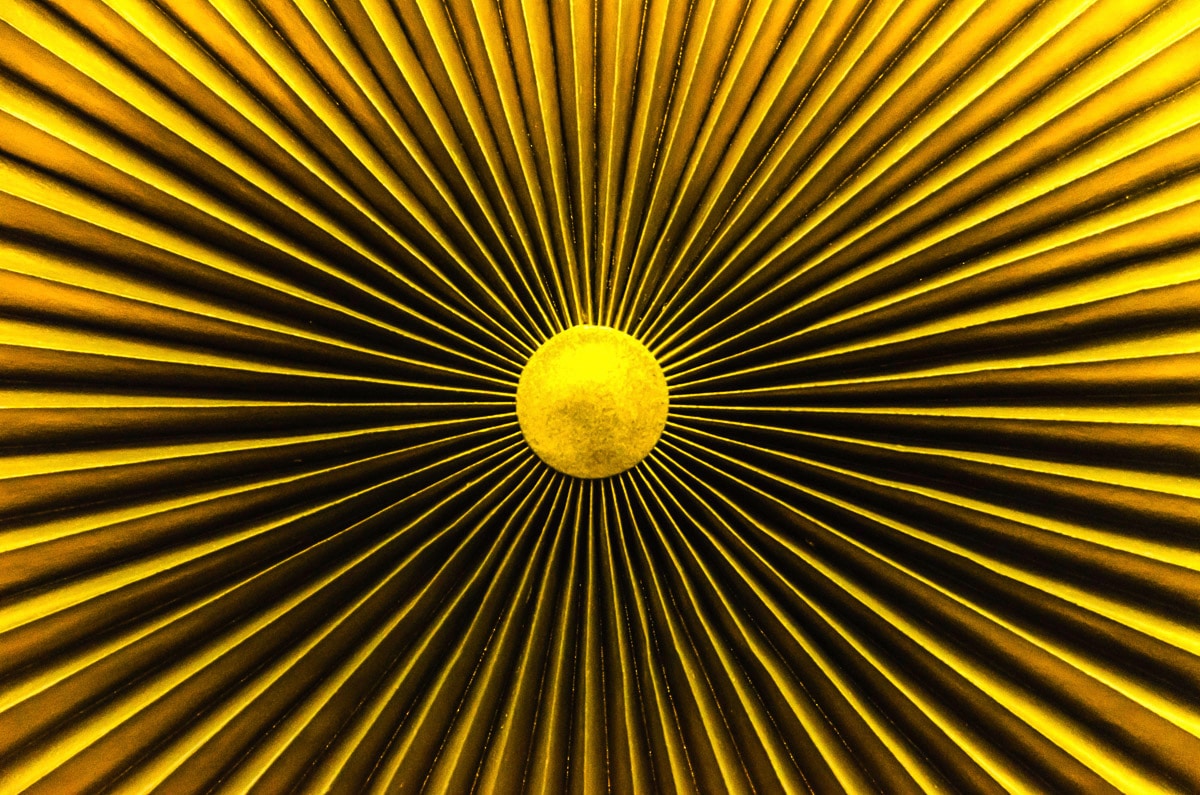 Papermoon Fototapete »Abstrakt« Papermoon Fototapete »Abstrakt« von Papermoon