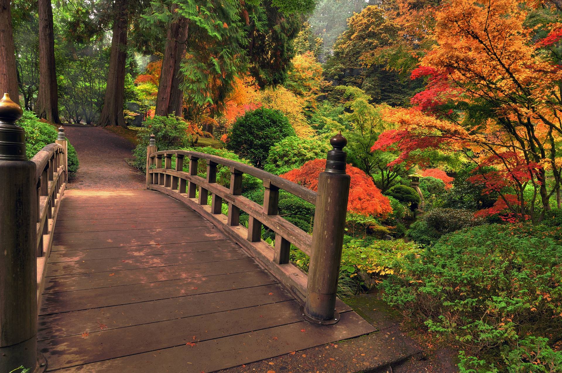 Papermoon Fototapete »Autumn Bridge« von Papermoon