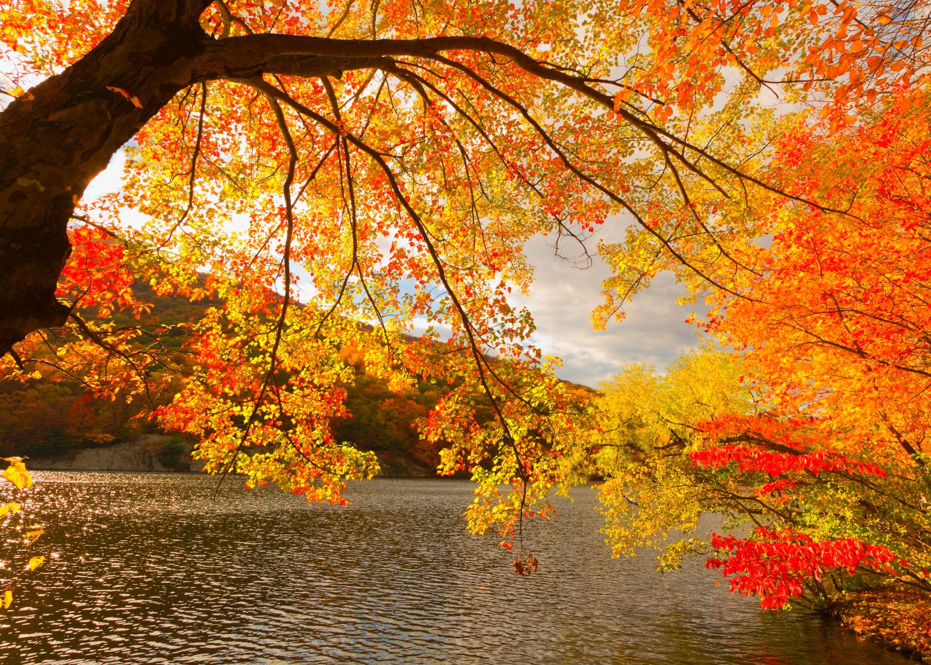 Papermoon Fototapete »Autumn Scenery« Papermoon Fototapete »Autumn Scenery« von Papermoon