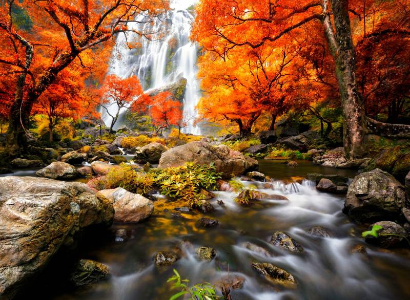 Papermoon Fototapete »Autumn Waterfall« von Papermoon
