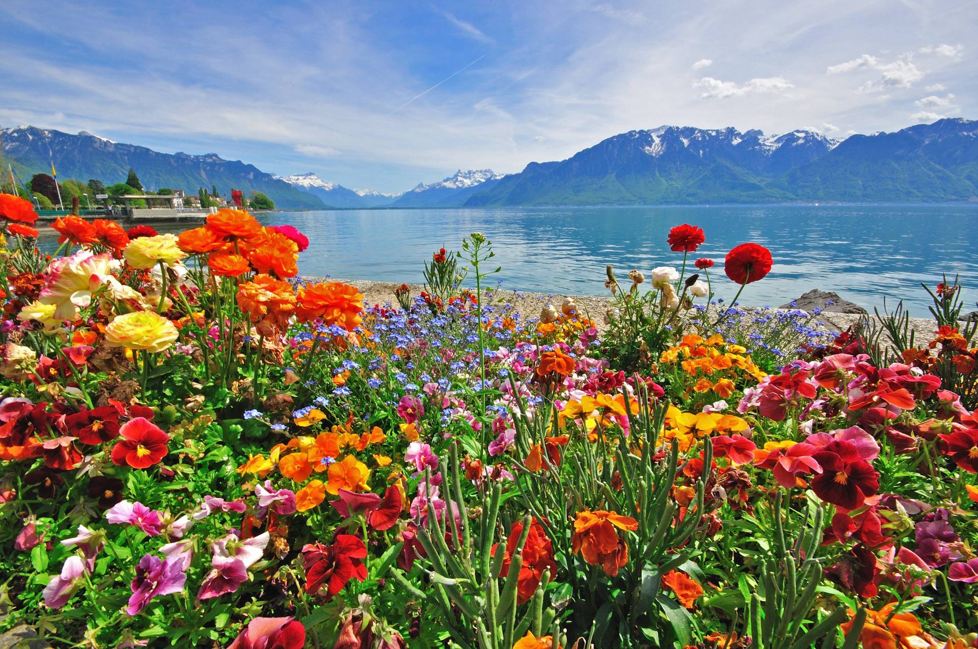 Papermoon Fototapete »BLUMEN-DESIGN NATUR LANDSCHAFT GEBIRGE BERGE ALPEN SEE« Papermoon Fototapete »BLUMEN-DESIGN NATUR LANDSCHAFT GEBIRGE BERGE ALPEN SEE« von Papermoon