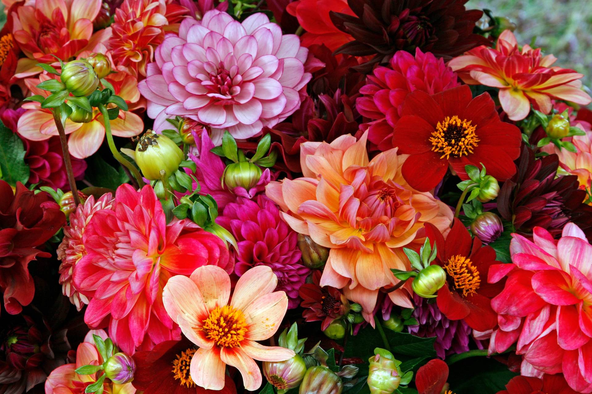Papermoon Fototapete »BUNTE BLUMEN-STRAUss-DEKOR MUSTER PFLANZE ORCHIDEE RETRO« von Papermoon