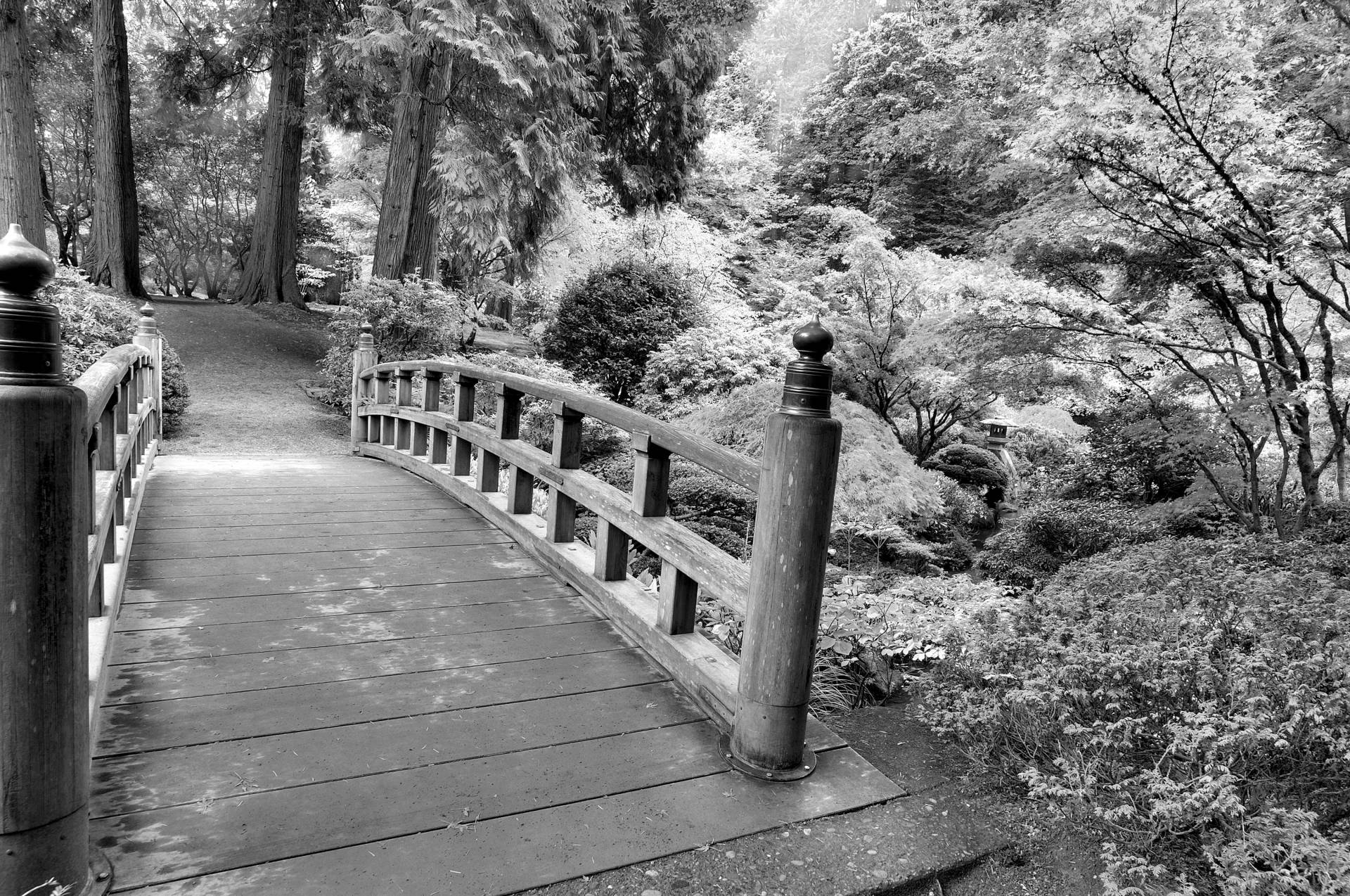 Papermoon Fototapete »Brücke Schwarz & Weiss« von Papermoon