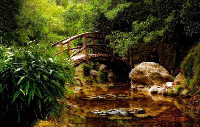 Papermoon Fototapete »Brücke im Wald« von Papermoon