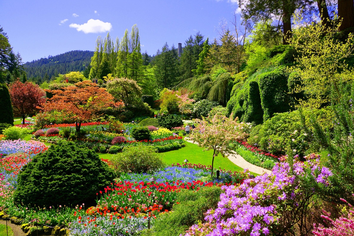 Papermoon Fototapete »Butchart Gardens« Papermoon Fototapete »Butchart Gardens« von Papermoon