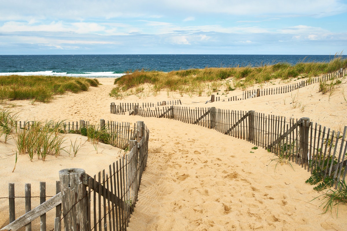 Papermoon Fototapete »Cape Cod Dünen« Papermoon Fototapete »Cape Cod Dünen« von Papermoon