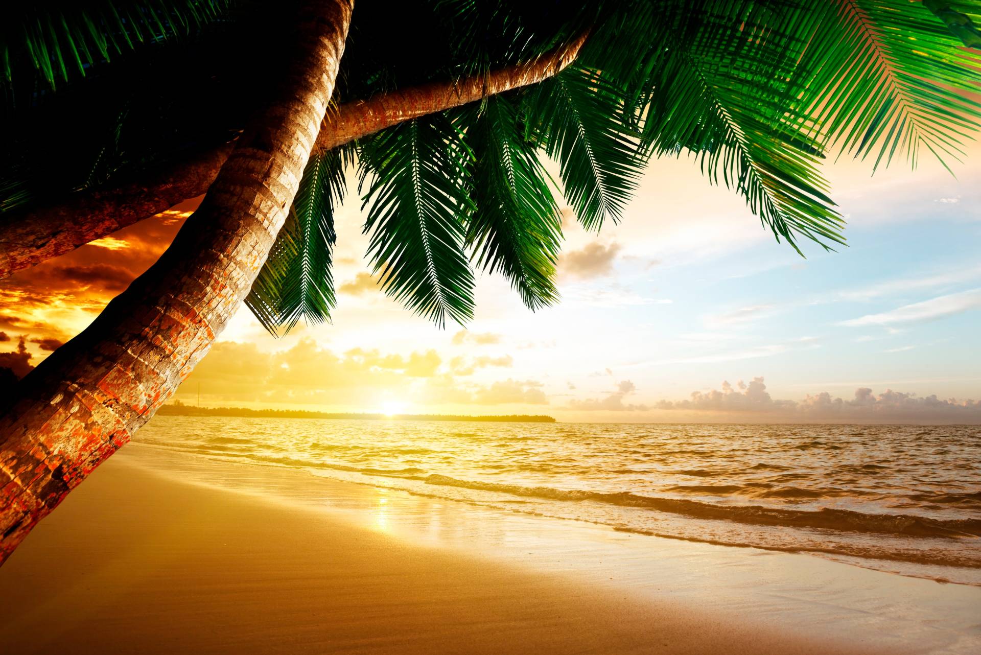 Papermoon Fototapete »Caribbean Beach Sunrise« von Papermoon