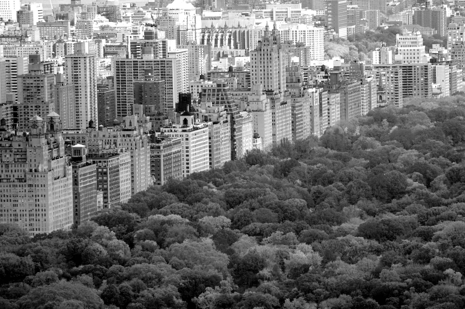 Papermoon Fototapete »Central Park Schwarz & Weiss« Papermoon Fototapete »Central Park Schwarz & Weiss« von Papermoon