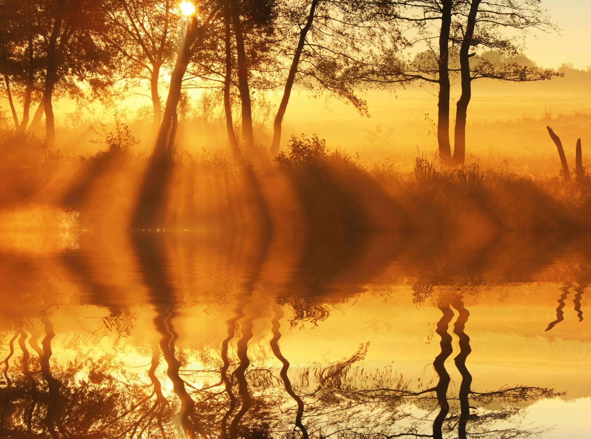 Papermoon Fototapete »DÄMMERUNG-REFLEXION VON BÄUMEN UFER FLUSS SEE SONNE« von Papermoon