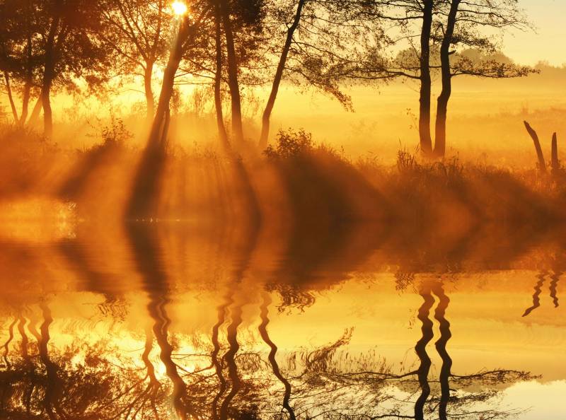 Papermoon Fototapete »DÄMMERUNG-REFLEXION VON BÄUMEN UFER FLUSS SEE SONNE« von Papermoon