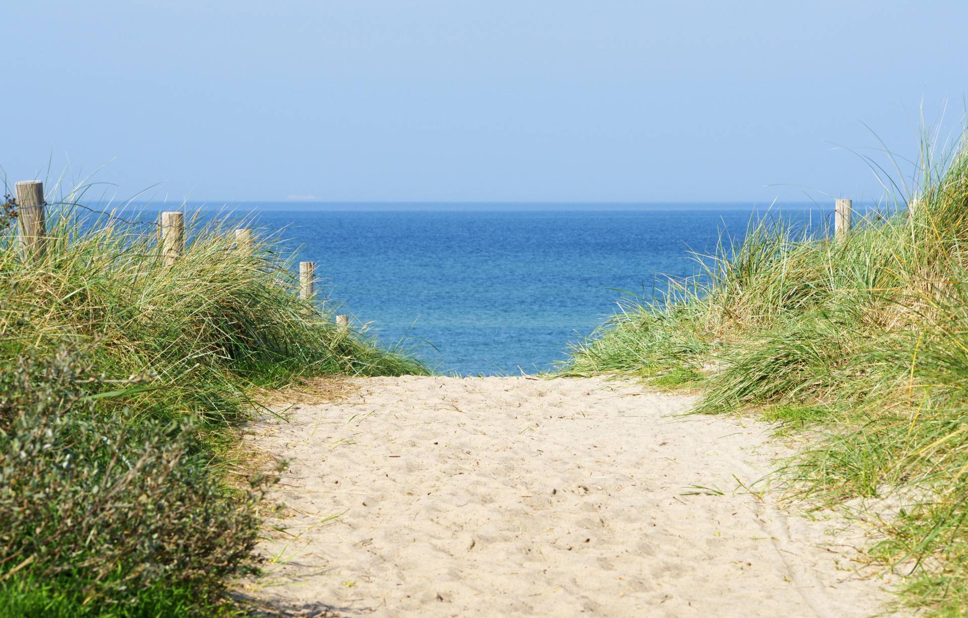 Papermoon Fototapete »Dune at the Ocean«, matt von Papermoon