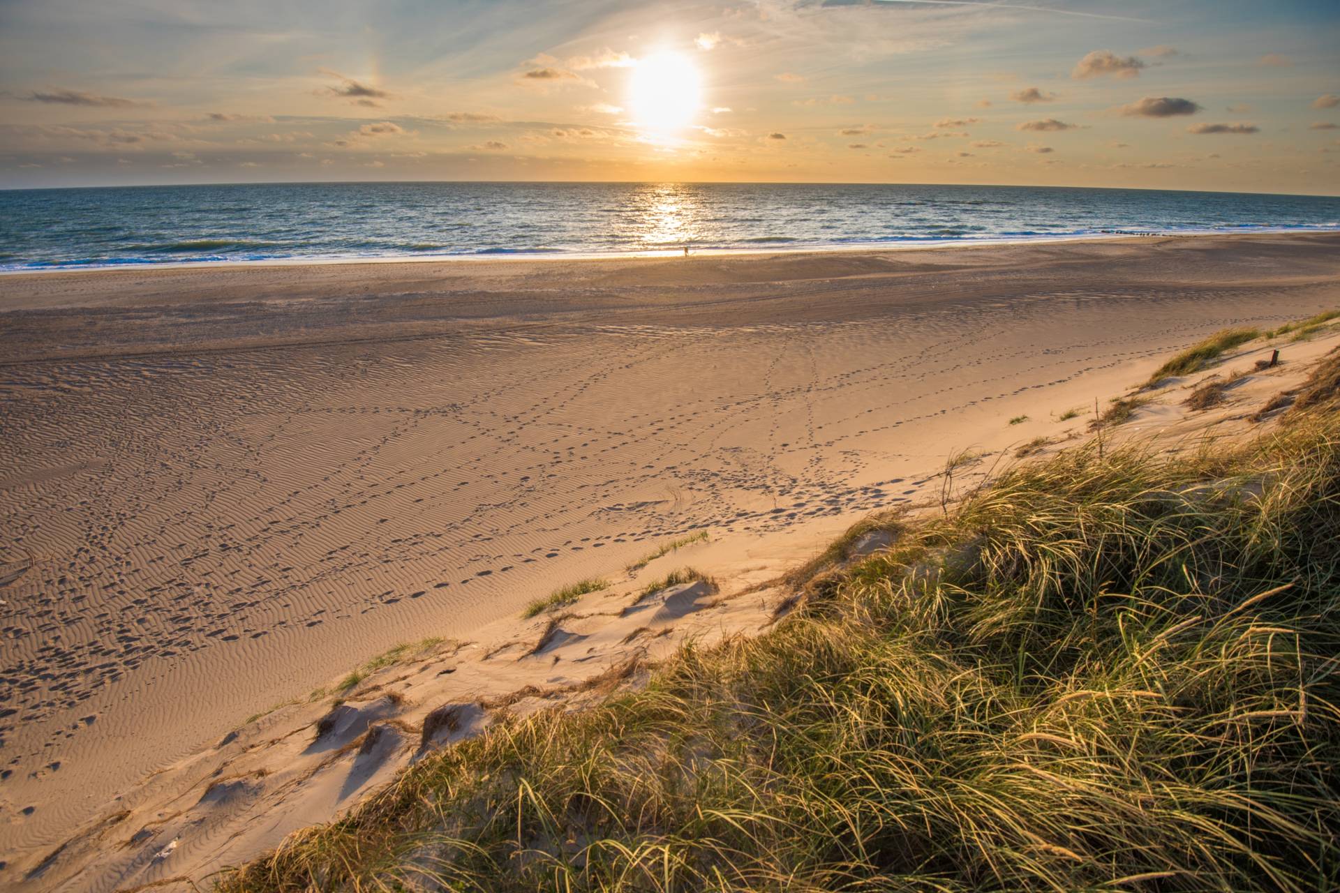 Papermoon Fototapete »Dunes Beach Jutland« von Papermoon