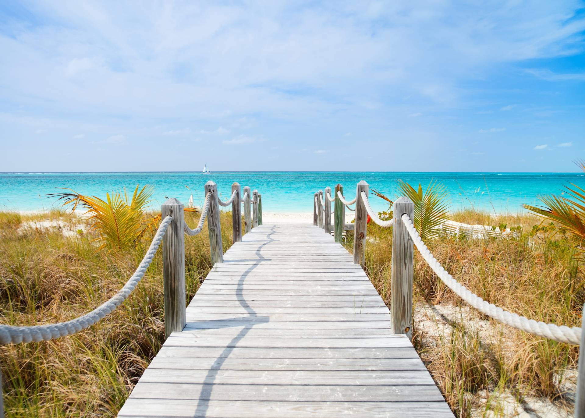 Papermoon Fototapete »Dunes Carribean Beach« von Papermoon