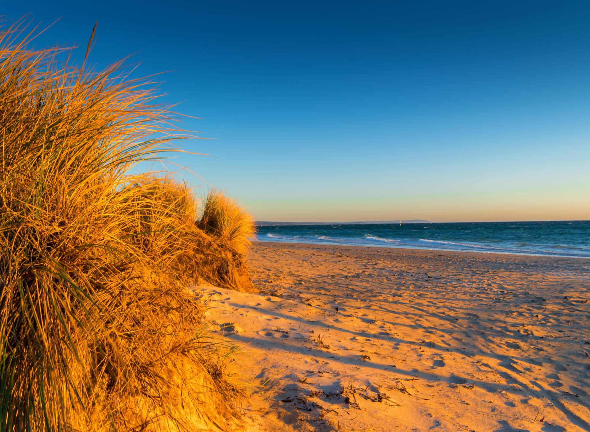 Papermoon Fototapete »Dunes Chelsea Beach Australia« von Papermoon