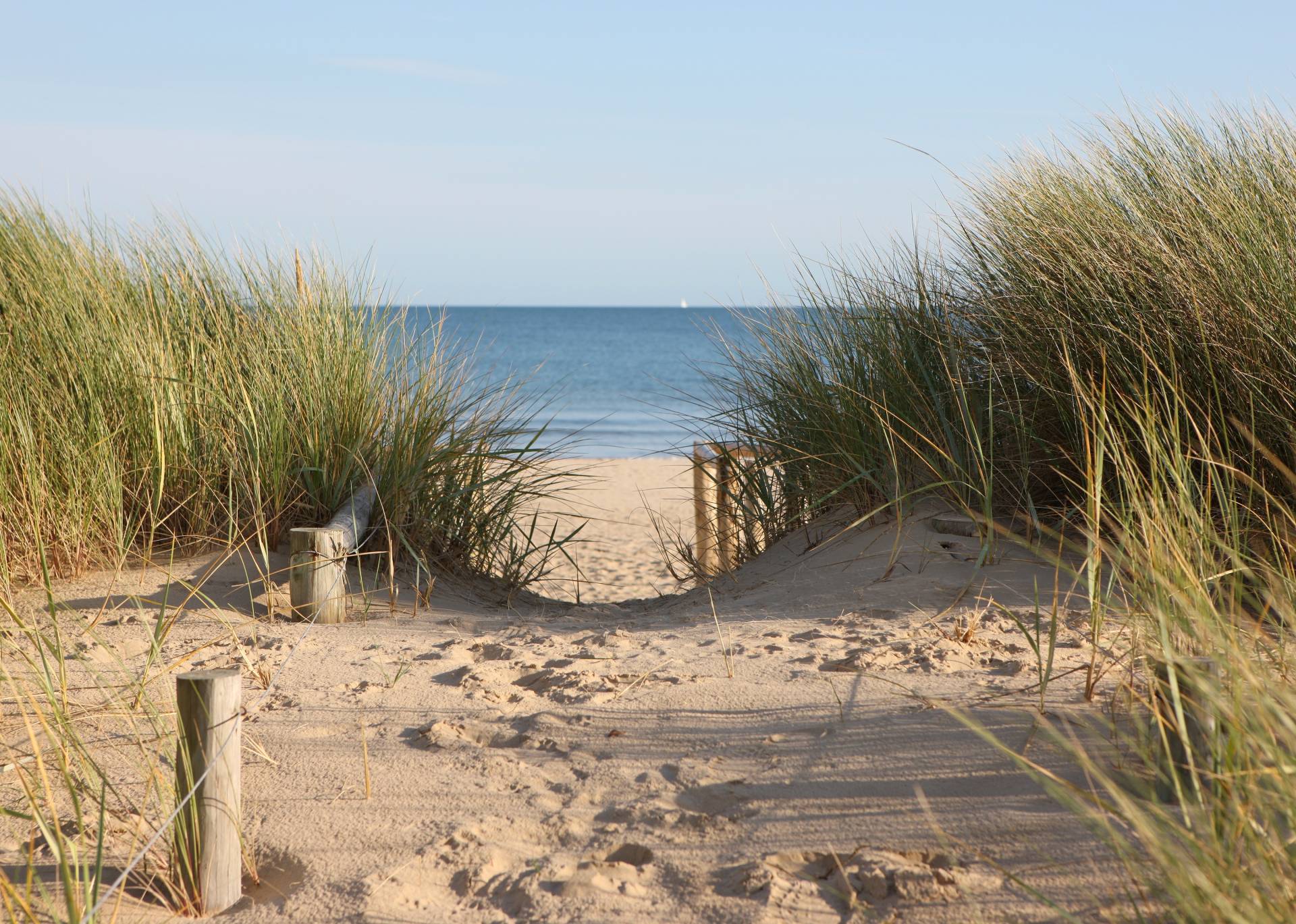 Papermoon Fototapete »Dunes in Dorset« Papermoon Fototapete »Dunes in Dorset« von Papermoon